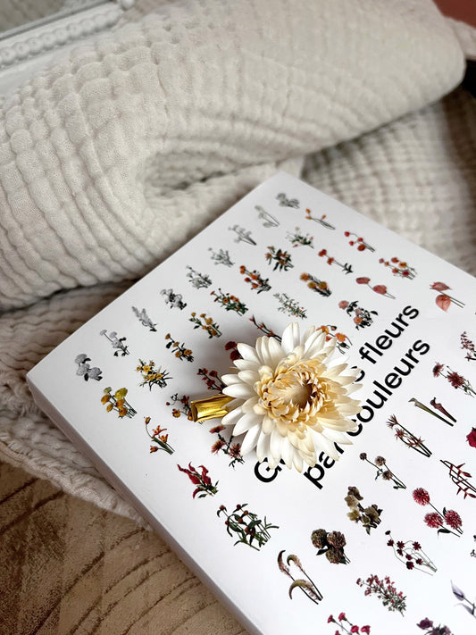 Barrette pince à fleur d'immortelle