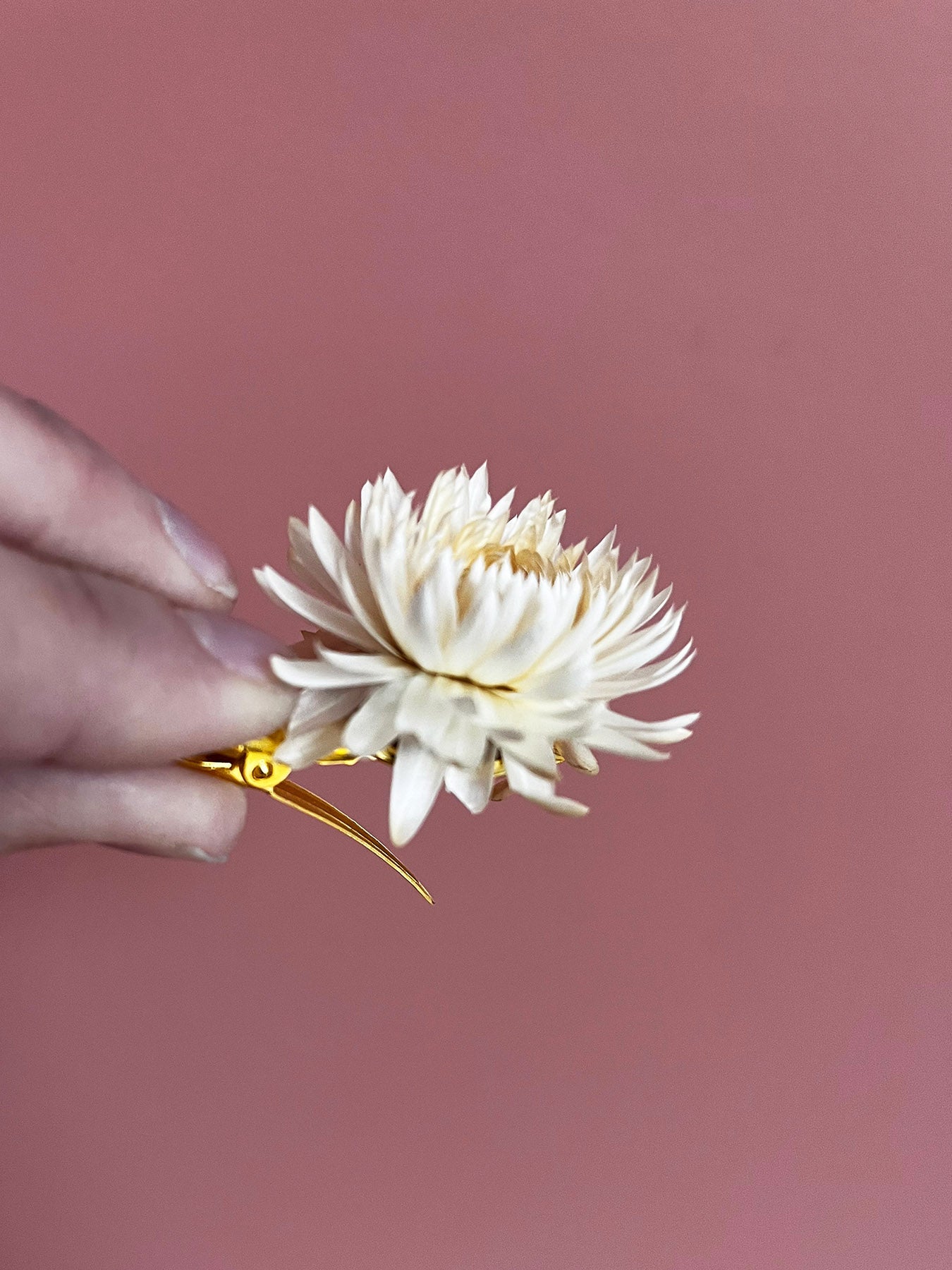 Barrette pince à fleur d'immortelle